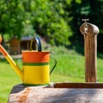 Jak utrzymać ogródek w dobrej kondycji latem: najlepsze sposoby na przetrwanie upałów ogrod lato slonce 1 2025 ogrod lato slonce 1