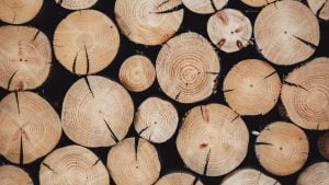 Ogrzewanie drewnem. Charakterystyka, wady, zalety oraz koszty. ogrzewanie drewno 1 2025 ogrzewanie drewno 1